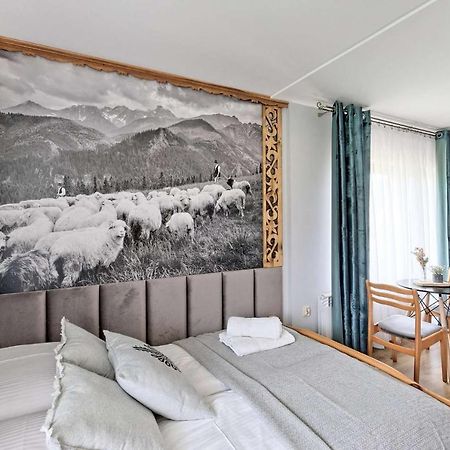Willa U Baranow Zakopane Kültér fotó