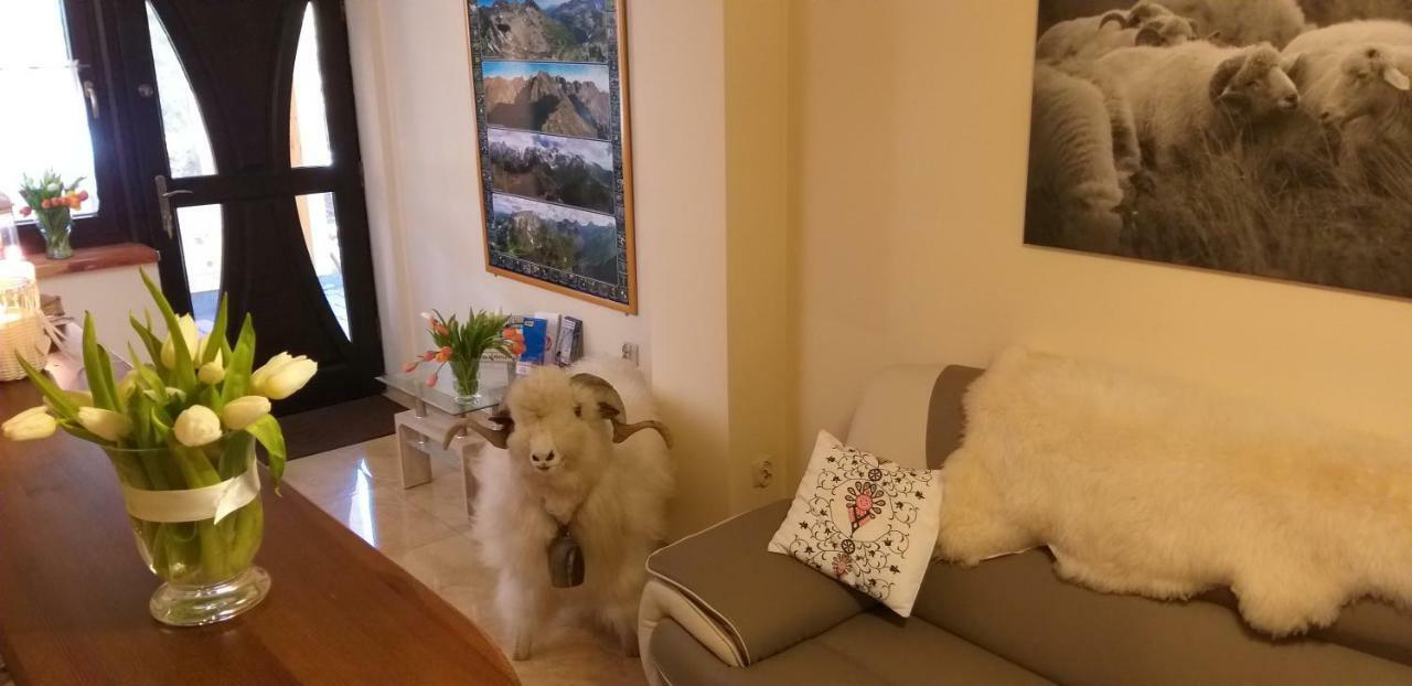 Willa U Baranow Zakopane Kültér fotó